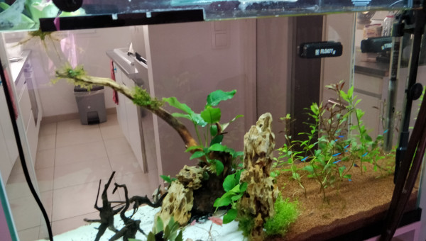 Réfection complète du bac.