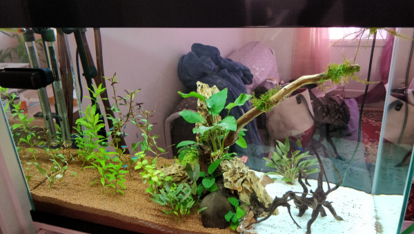 Réfection complète du bac.