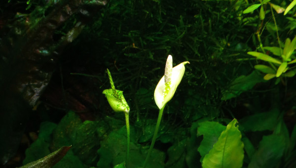 Passage de relais...