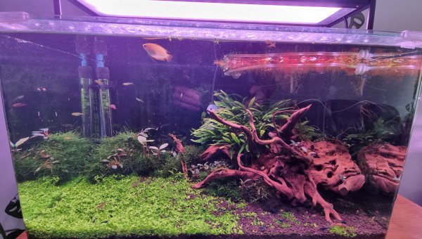 au 7 septembre (29j après la dernière photo)