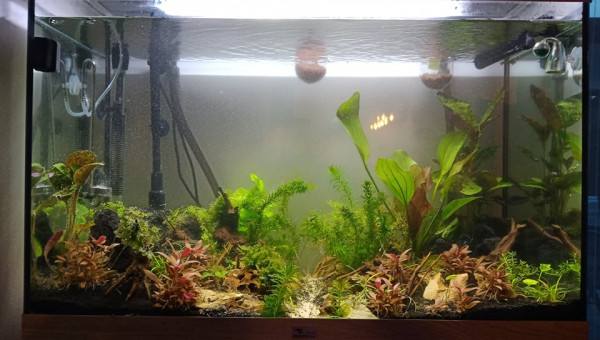 Update photo de profile