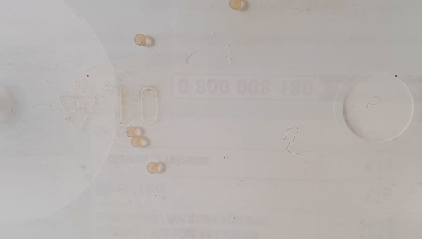 ponte du 17 septembre