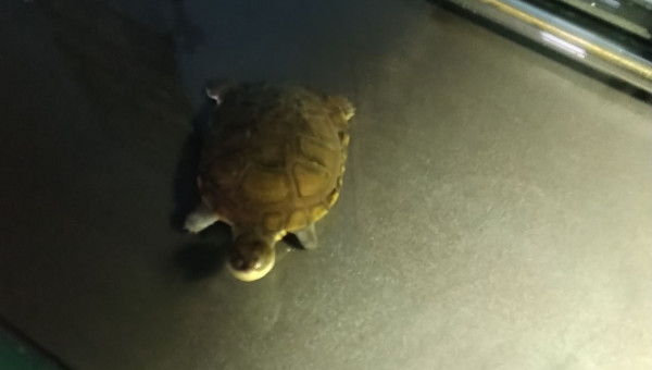 Séjour en Bac Hôpital