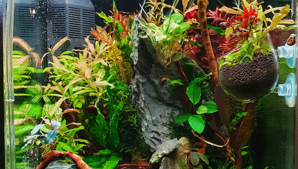 Aquarium 30L Dennerle