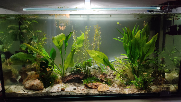 Bac au Troisième Jour