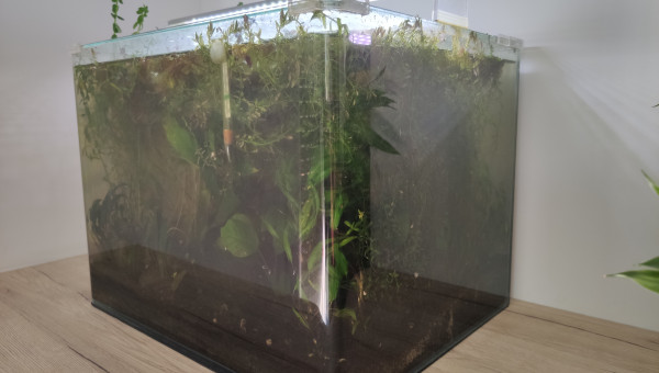 Dernière photo avant réfection