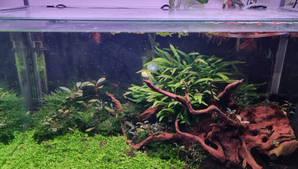 au 2 Octobre, 3 mois après remise en eau