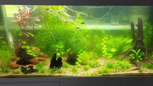 3 mois apres mise en eau