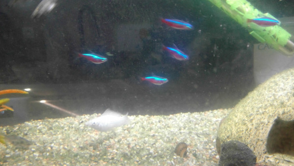 Crystal, Marine, Vague, Océan, Water et Rivière