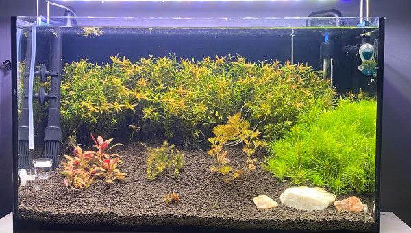 60L