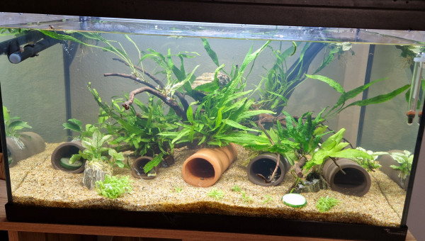 Changement de décor