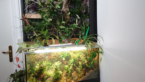 Fangorn Forest  J+15