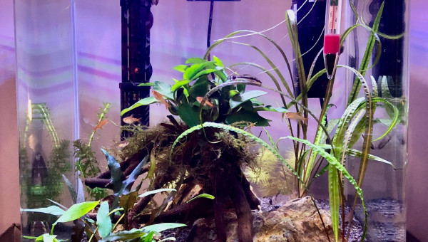 35 L - Communautaire - 2 mois