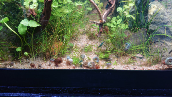 L'avantage d'un sol incliné :)