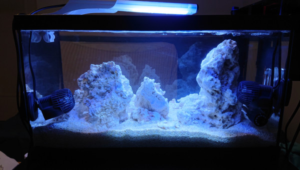 Pico Reef 30L
