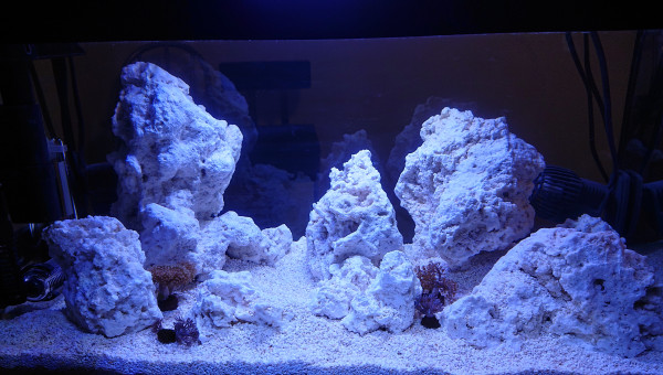 Pico Reef 30L