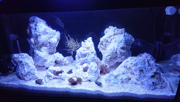 Pico Reef 30L
