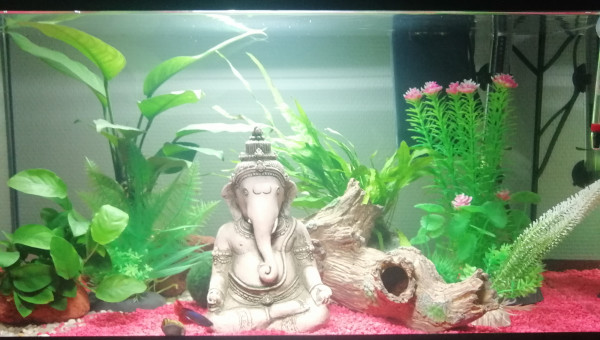 Après un mois de cyclage