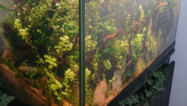 S+9 vue de l'angle gauche