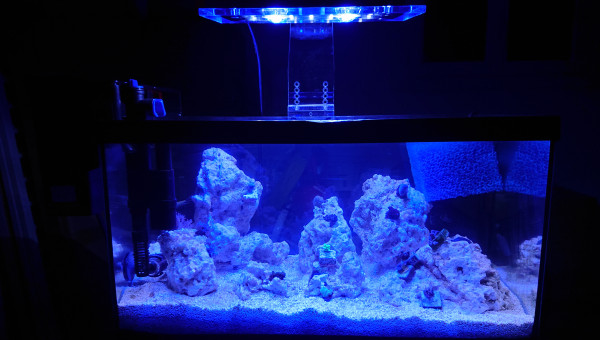 Pico Reef 30L