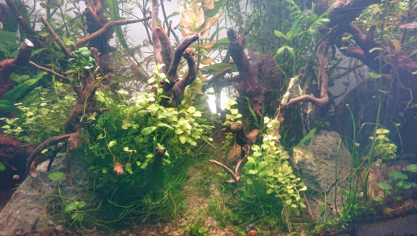 Le chemin de la colline