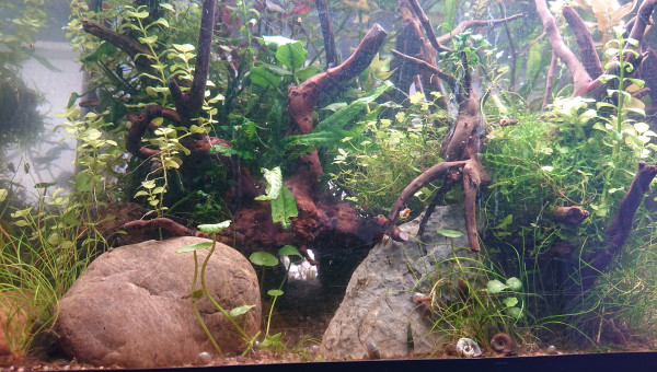 Le chemin de la grotte