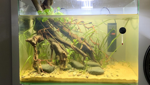 Il s’éclaircit bien !