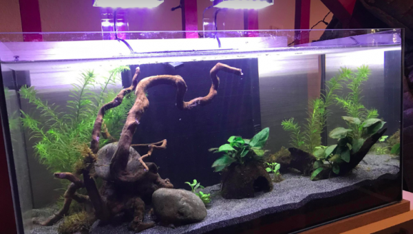 60L - En cours de cyclage ...