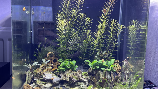 Petit 20L en forme également