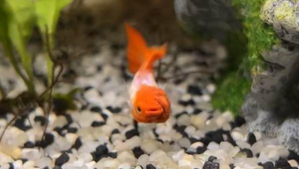 Ça continue d’évoluer ?