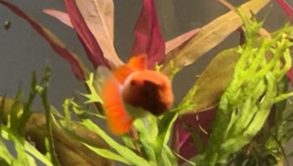 Ça continue d’évoluer ?