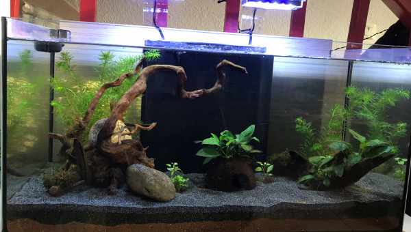 Bac 60L - J17 de cyclage