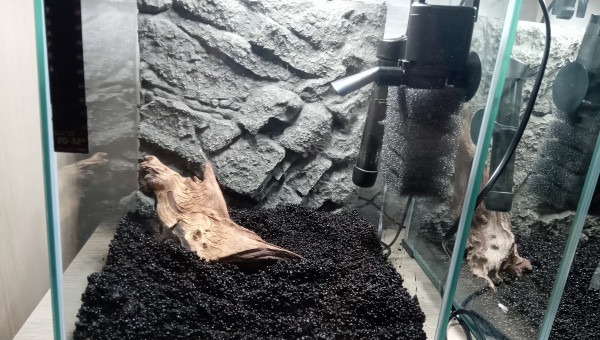 Mise en place (côté)