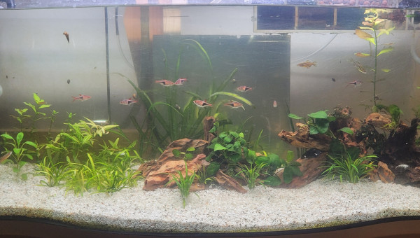 Sable et petite modif