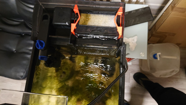 Aération de l'eau du bac .