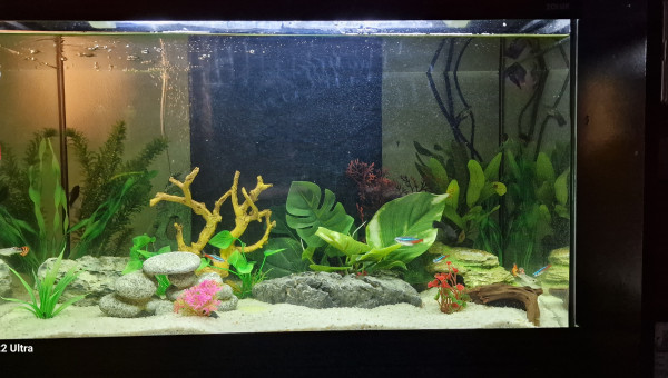 Aquarium 54 litres