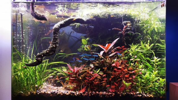 1 an après la réfection, tout va bien !