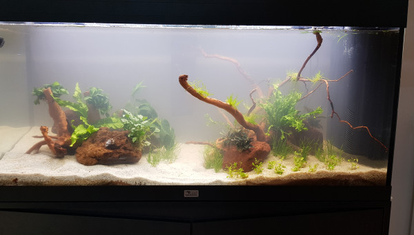 Lendemain de la mise en eau