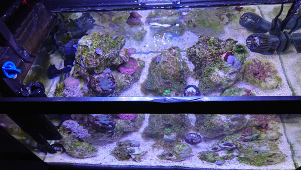 Le bac 2h avant l'extinction de la rampe