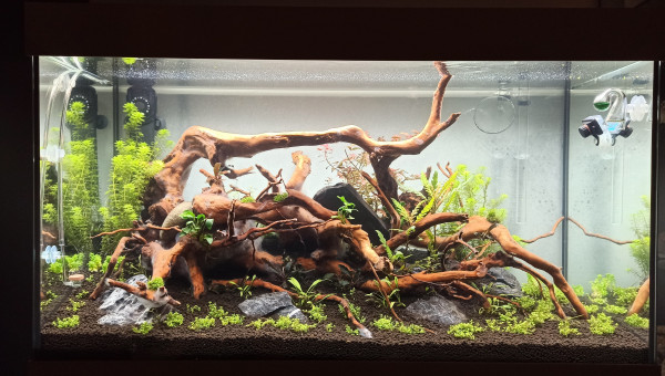 Dernières modifications, rendu final !