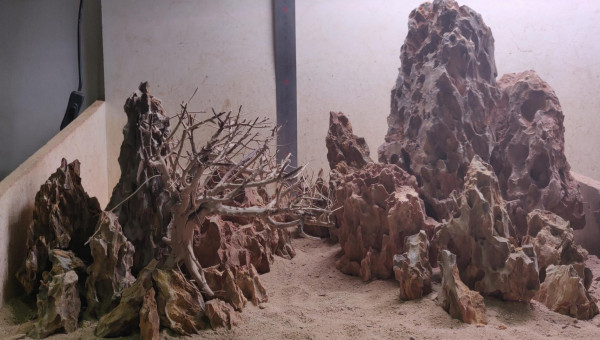 Scape dans le bac a sable