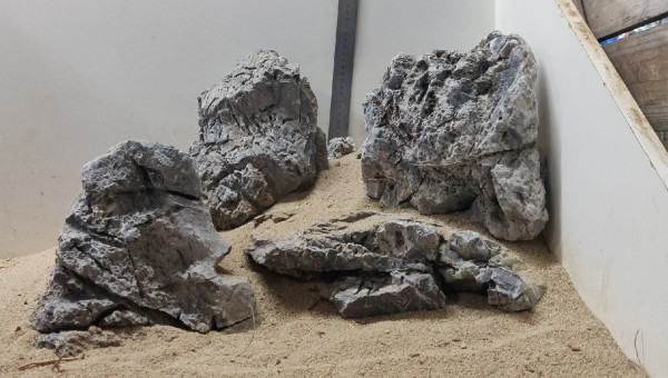 Scape dans le bac a sable