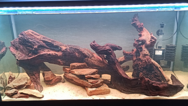 Hardscape provisoire