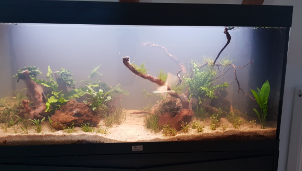 Renouvellement d'eau