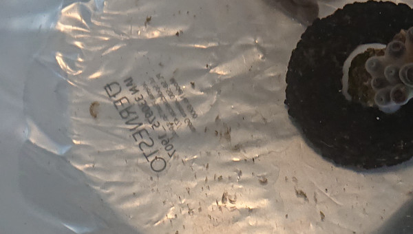 Voici le résultat du traitement