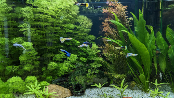 Après suppression du filtre interne