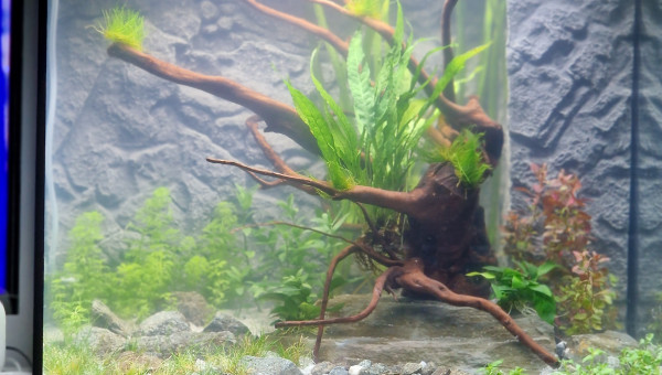 1er jour le 17 février 2023