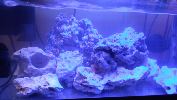 Ajout de pierre vivante