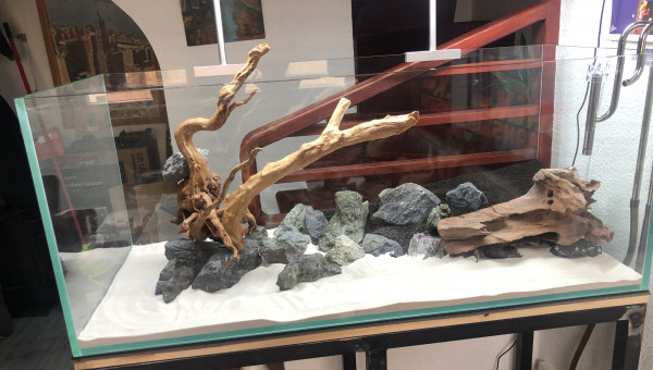 Hard scape et mise en eau