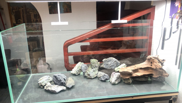 Hard scape et mise en eau